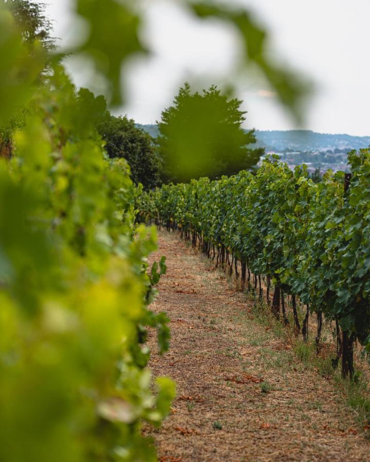 Tenuta Ronco Regio Bauernhof *